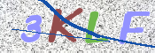 Immagine CAPTCHA