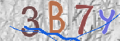 Immagine CAPTCHA