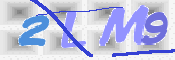 Immagine CAPTCHA