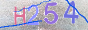 Immagine CAPTCHA