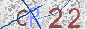 Immagine CAPTCHA