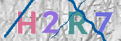 Immagine CAPTCHA