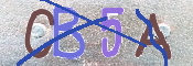 Immagine CAPTCHA