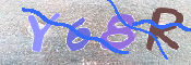 Immagine CAPTCHA