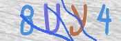 Immagine CAPTCHA