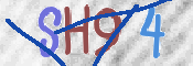 Immagine CAPTCHA