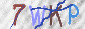 Immagine CAPTCHA