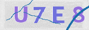Immagine CAPTCHA