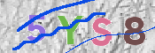 Immagine CAPTCHA