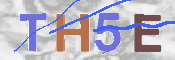 Immagine CAPTCHA