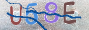 Immagine CAPTCHA