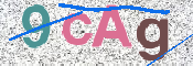 Immagine CAPTCHA