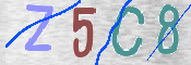 Immagine CAPTCHA