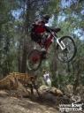 Bike Park - vicinissimo al tempio di Giunone