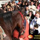 Festa in onore di S.Antonio Abate ad Aragona