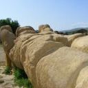 Uno dei telamoni del Tempio di Giove