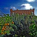 Valle dei templi Agrigento - foto by Peppe Cumbo