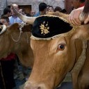 Festa di Gesu Nazareno, San Giovanni Gemini